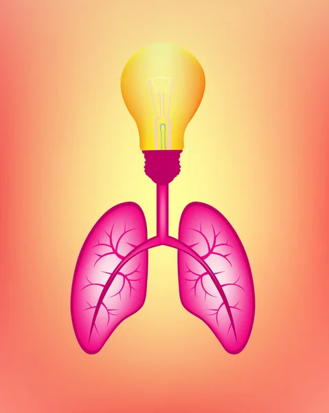Pulmones Partes del cuerpo — Archivo Imágenes Vectoriales