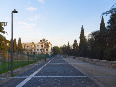Dionysiu Areopagitou kaldırım taşı sokağında şafak vakti, Atina ve Yunanistan 'da selvi ağaçlarıyla dolu yerleşim alanından geçen beyaz işaretler var.
