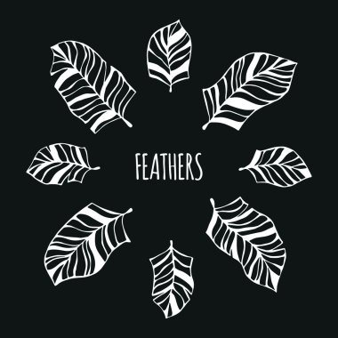 Handdrawn feathers vector