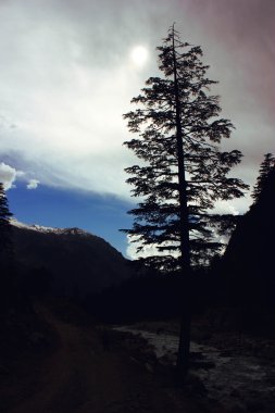 Bazı mavi gökyüzü ile dağın güzel ağaç