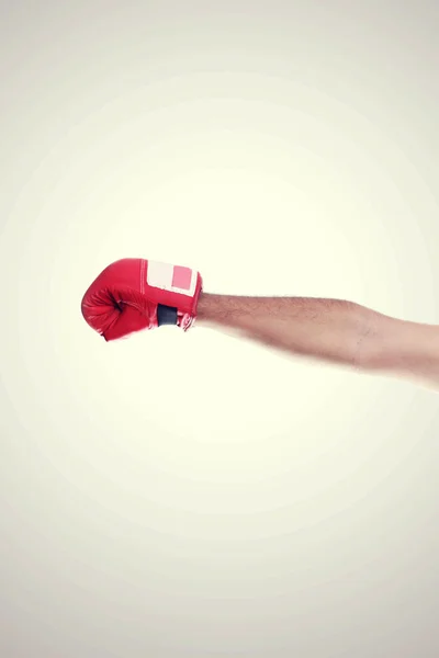 Una mano en el marco con guantes de boxeo rojos —  Fotos de Stock