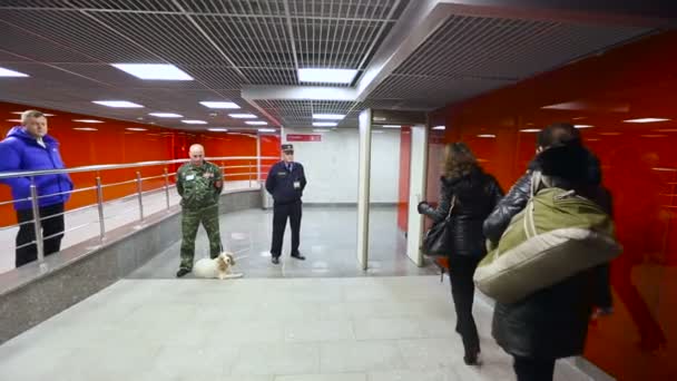 Les gens traversent un cadre de détecteur de métaux et montent dans l'escalier roulant jusqu'à la gare Aéroport Police Chien de sécurité — Video
