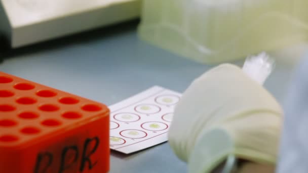 Un doctor en guantes de goma en el laboratorio toma muestras de sangre y las prueba para la infección. De cerca. — Vídeo de stock