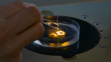 Mikroskop küçük öğeler bölümlerinde kalitesini kontrol edin