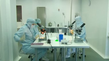 Bir projede çalışan üç bilim adamı mikroskoplar tabloyla çalışma. Steril
