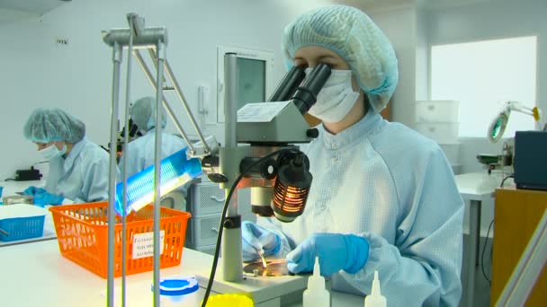 Dos Científicos Trabajando en el Laboratorio, Microscopios, Estéril — Vídeos de Stock