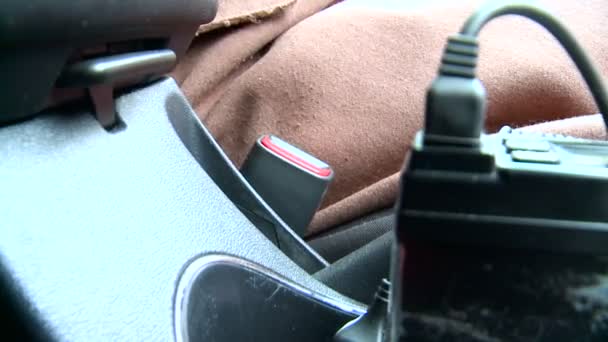 Vrouwelijke bestuurder dragen dragen van de veiligheidsgordel. Auto, veiligheid. Closeup — Stockvideo