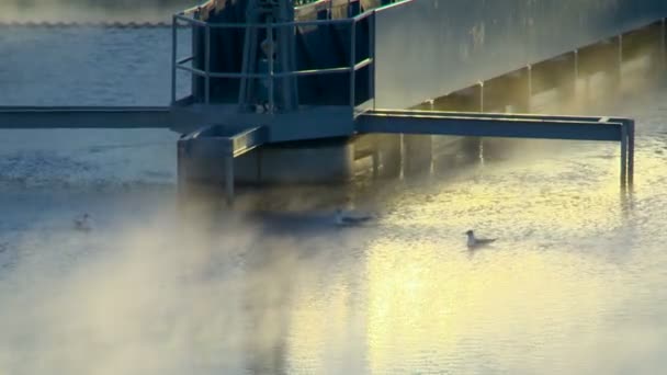 Vista do Sistema de Tratamento de Água. Vista Industrial. Poluição ambiental — Vídeo de Stock