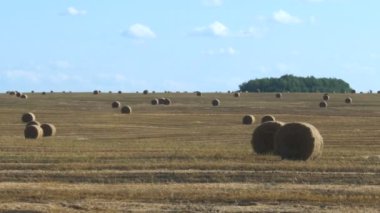 Büyük rulo saman büyük bakış açısı ve diğer roller biçilmiş sahada hasat, arka plan, mavi gökyüzü oluşur. Güneşli yaz gün