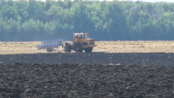 Plöjning. Jordbruk. Arbeta inom området — Stockvideo