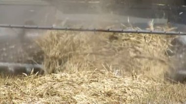 Hasat zamanı. Ürün toplama makineleri