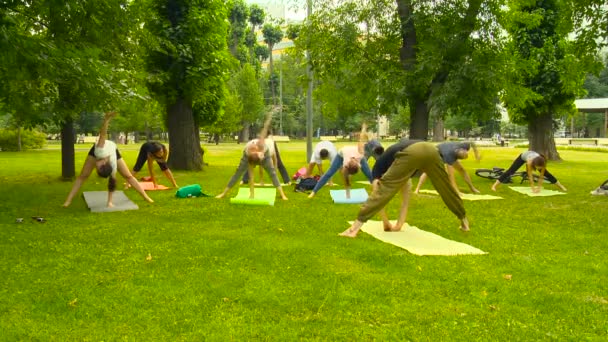 Aula de ioga no parque. Pessoas em Park Doing Yoga. Mãos para cima — Vídeo de Stock