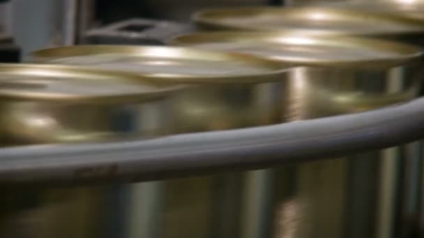 Dopravník v mlékárně. Spousta kovové nádoby s mlékem pohybující se na pásku — Stock video