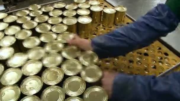 A worker at a dairy factory. Banks of golden color on the pallet for transportation — Stock Video