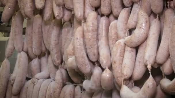 Frozen sausages in an slaughterhouse. Worker cuts nipples hanging in the refrigerator — Stock Video
