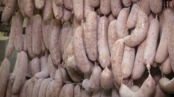 Salchichas congeladas en un matadero. Trabajador corta pezones colgando en el refrigerador — Vídeos de Stock