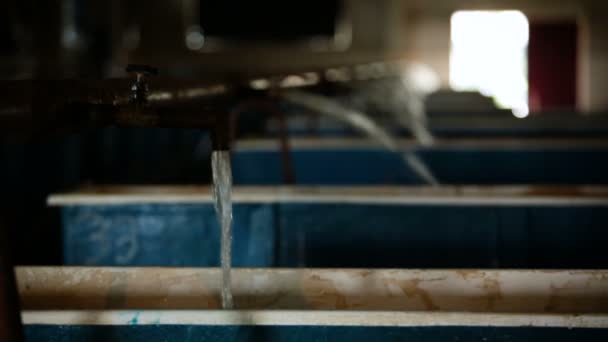 Spola vatten i djurtankar. Vattenbruksindustrin i Ryssland — Stockvideo