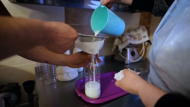 Farmot. Tejet öntök üvegekbe. Az emberek tejet öntenek az üvegekbe. — Stock videók