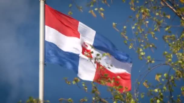 Region Perm. Permer Flagge mit Bärenblick — Stockvideo