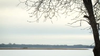 Yılın kış zamanı. Kıyıdan göl manzarası