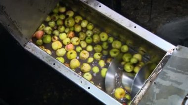 Elmalar taşıyıcının hareket yönüne doğru hareket ediyor. Elmalar için lavabo