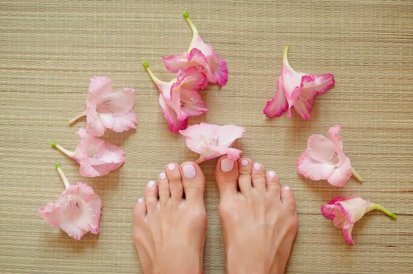 Wellness-Behandlung mit schönen rosa Blüten — Stockfoto