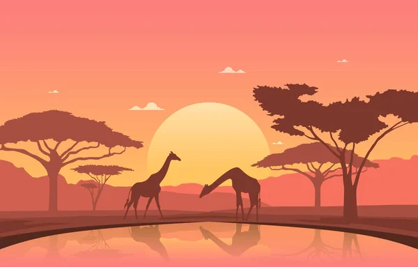 Giraffe Sunset Oasis Savanna แอฟร ภาพประกอบส — ภาพเวกเตอร์สต็อก