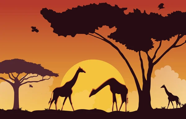 Giraffe Sunset Animal Savanna Landscape Africa Wildlife Illustration — Stock Vector