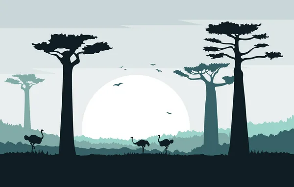 Avestruz Baobab Árbol Savanna Paisaje África Naturaleza Ilustración — Vector de stock