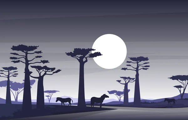 Zebra Cavalo Baobab Árvore Savana Paisagem África Vida Selvagem Ilustração — Vetor de Stock