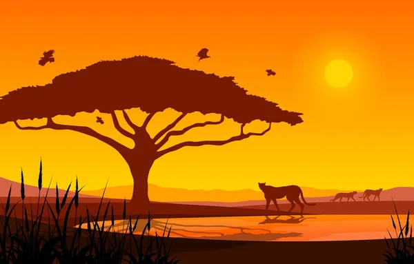 Cheetah Tree Oasis Ζώο Savanna Τοπίο Αφρική Άγρια Ζωή Εικονογράφηση — Διανυσματικό Αρχείο