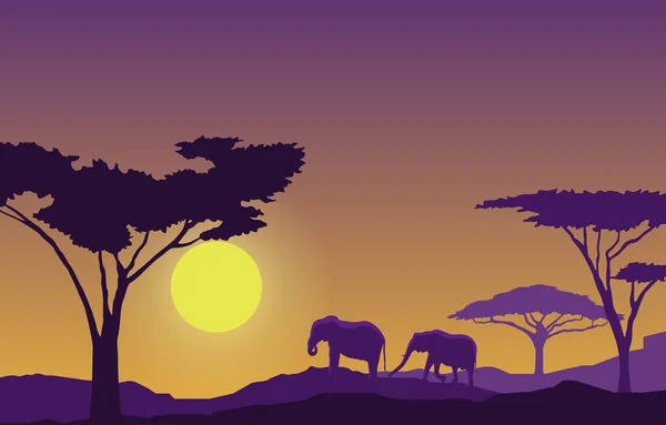 Ελέφαντας Sunset Animal Savanna Τοπίο Αφρική Άγρια Ζωή Εικονογράφηση — Διανυσματικό Αρχείο