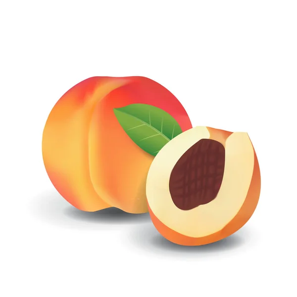 Peach Sehat Organik Buah Segar Musim Panas Terisolasi Vector Illustration - Stok Vektor
