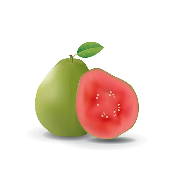 Vörös Guava Egészséges Organikus Friss Gyümölcs Nyár Izolált Vektor Illusztráció — Stock Vector