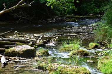 Wutachschlucht Kanyonu 'nda Kara Orman, Baden - Wuerttemberg