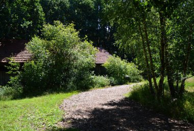 Fen Grosses ve Weisses Mağribi 'ndeki Bataklık Manzarası, Aşağı Saksonya