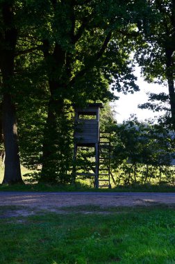 Heath Lueneburger Heide 'de av koltuğu, Aşağı Saksonya