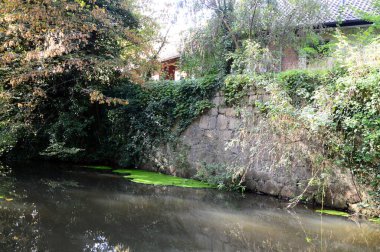 Sonbaharda Boehme Nehri 'nin manzarası Walsrode Kasabası, Aşağı Saksonya