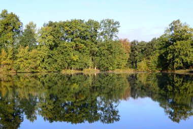 Walsrode, Aşağı Saksonya 'daki Manor Grasbeck' te Sonbaharda Gölet