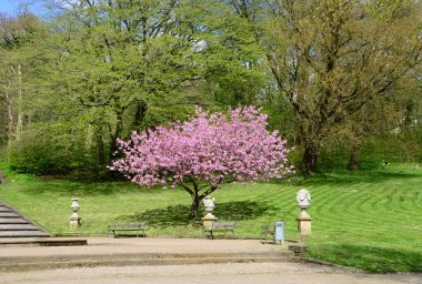 Holstein eyâletinde, Holstein eyâletinde, Gottorf Tarihi Kalesi 'ne park et.