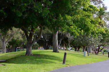 Meksika Körfezi, Florida 'daki Marco Adası' na park et.