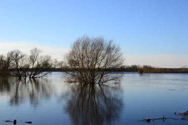 Kış mevsiminde Aşağı Saksonya 'daki Hodenhagen köyündeki Aller Nehri' nde sel.