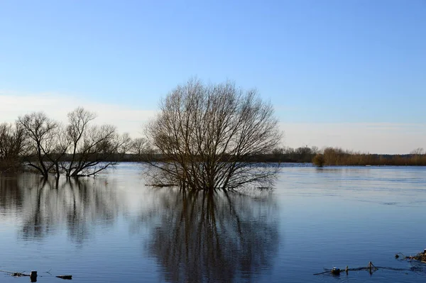 Kış mevsiminde Aşağı Saksonya 'daki Hodenhagen köyündeki Aller Nehri' nde sel.