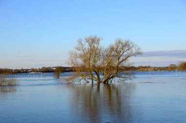 Kış mevsiminde Aşağı Saksonya 'daki Hodenhagen köyündeki Aller Nehri' nde sel.