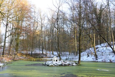 Kışın Gölet Ormanda Eckernworth Kasabası Walsrode, Aşağı Saksonya