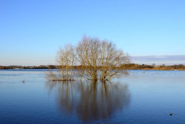 Kış mevsiminde Aşağı Saksonya 'daki Hodenhagen köyündeki Aller Nehri' nde sel.