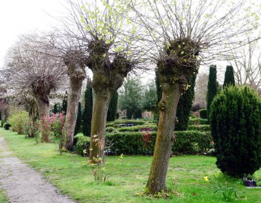 Walsrode, Aşağı Saksonya 'da İlkbaharda Mezarlık