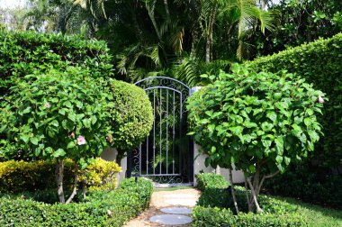 Florida, Palm Beach 'te bir bahçe.