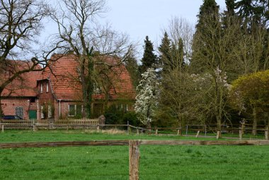 Heath Lueneburger 'de Çiftlik Heide, Walsrode, Aşağı Saksonya