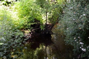 Baharda Fulde nehrinin kıyısına park et Walsrode, Aşağı Saksonya